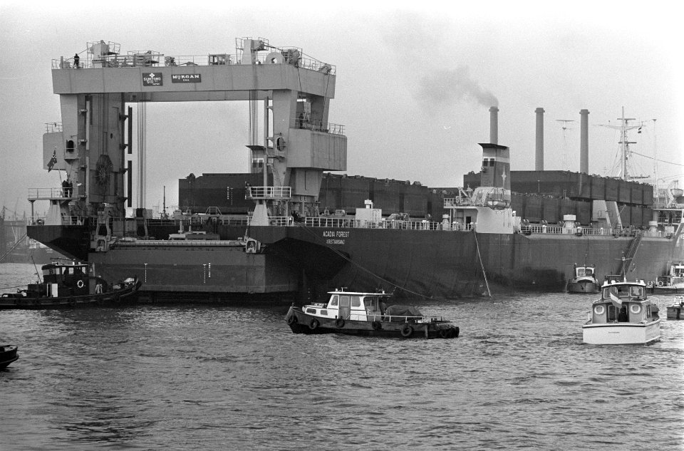 Eerste Kangoeroeschip Acadia Forest wordt gelost in Rotterdam, Bestanddeelnr 923-0441