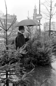Eerste winterdag zonder sneeuw of ijs, maar met regen kerstbomenverkopers met pa, Bestanddeelnr 911-8958