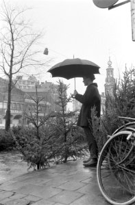 Eerste winterdag zonder sneeuw of ijs, maar met regen kerstbomenverkopers met pa, Bestanddeelnr 911-8956