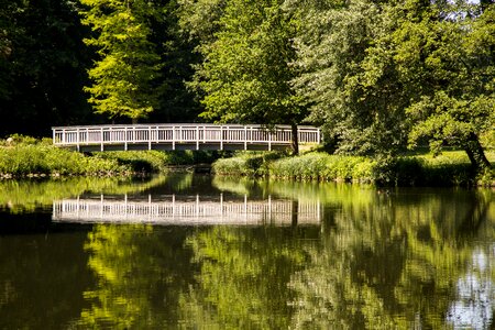 Pond arch garden