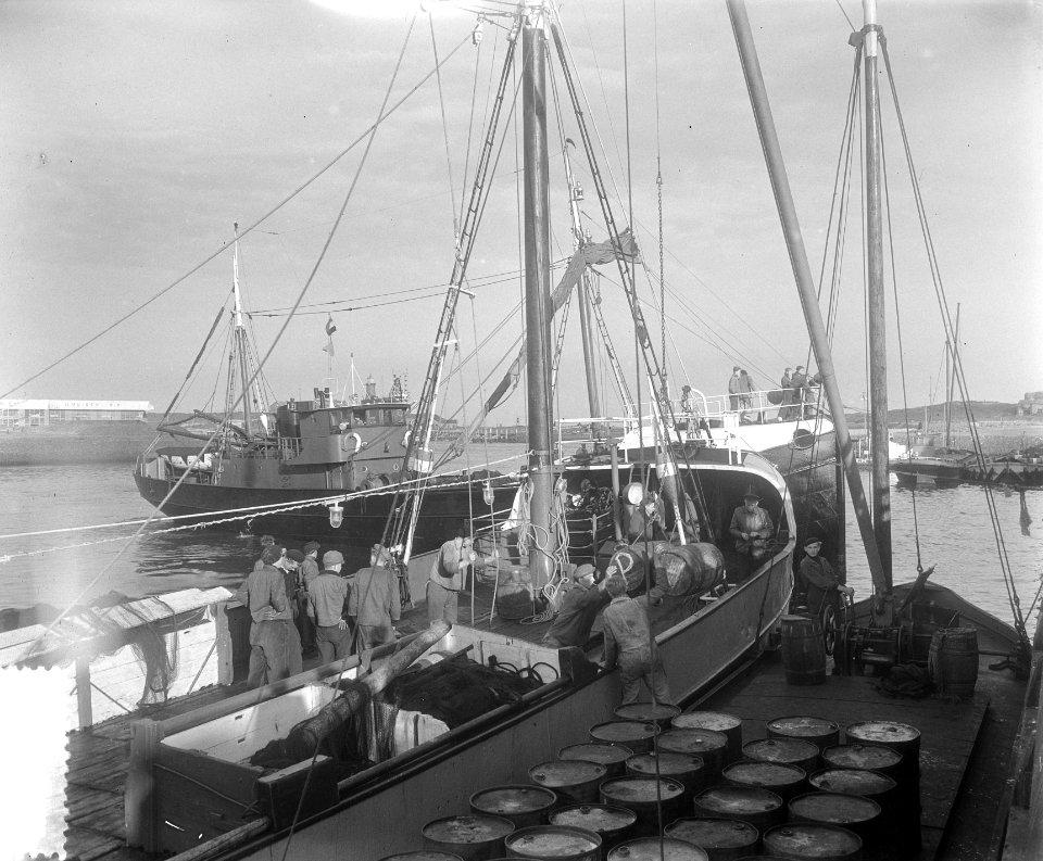 Eerste haringaanvoer IJmuiden (Katwijk 29), Bestanddeelnr 905-7494