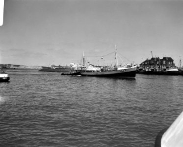 Eerste Hollandse nieuwe in IJmuiden, Bestanddeelnr 919-2018