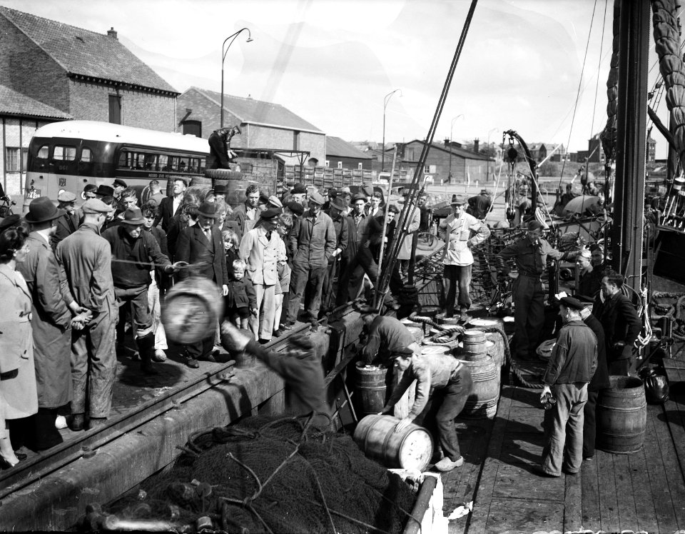 Eerste Hollandse nieuwe arriveert in IJmuiden, Bestanddeelnr 902-7579