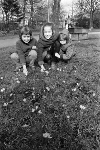 Eerste zonnetje in Vondelpark, Amsterdam, Bestanddeelnr 924-2757
