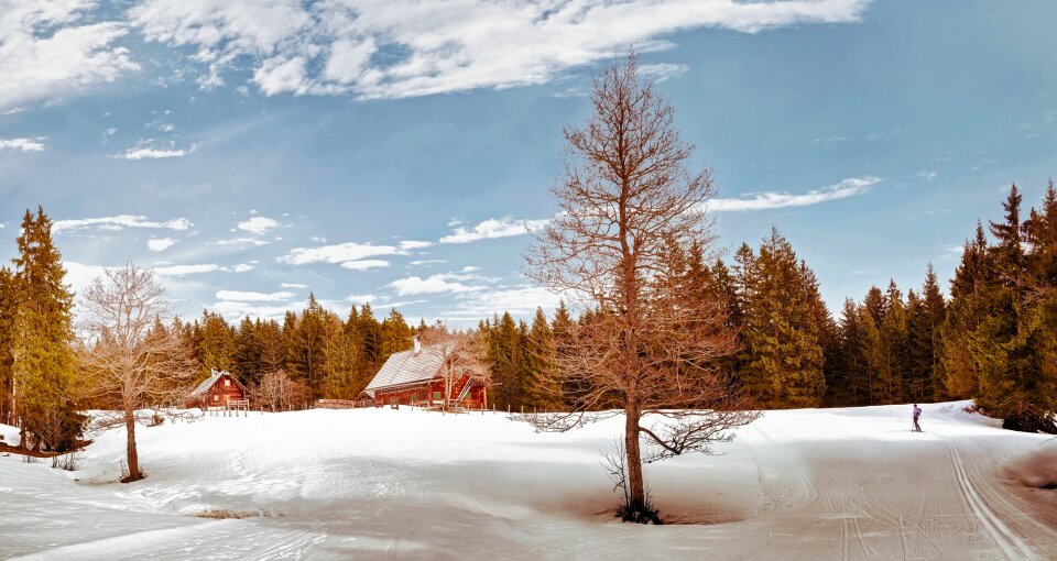 Winter snow ski photo