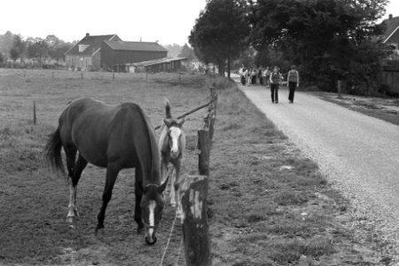 Eerste dag Vierdaagse Apeldoorn, Bestanddeelnr 925-7311