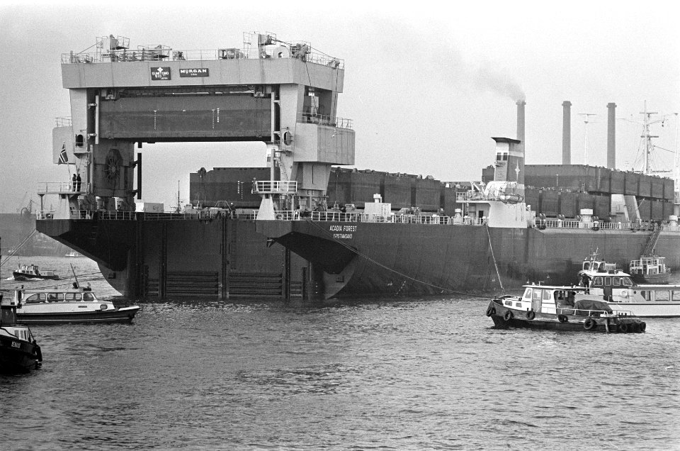 Eerste Kangoeroeschip Acadia Forest wordt gelost in Rotterdam, Bestanddeelnr 923-0447
