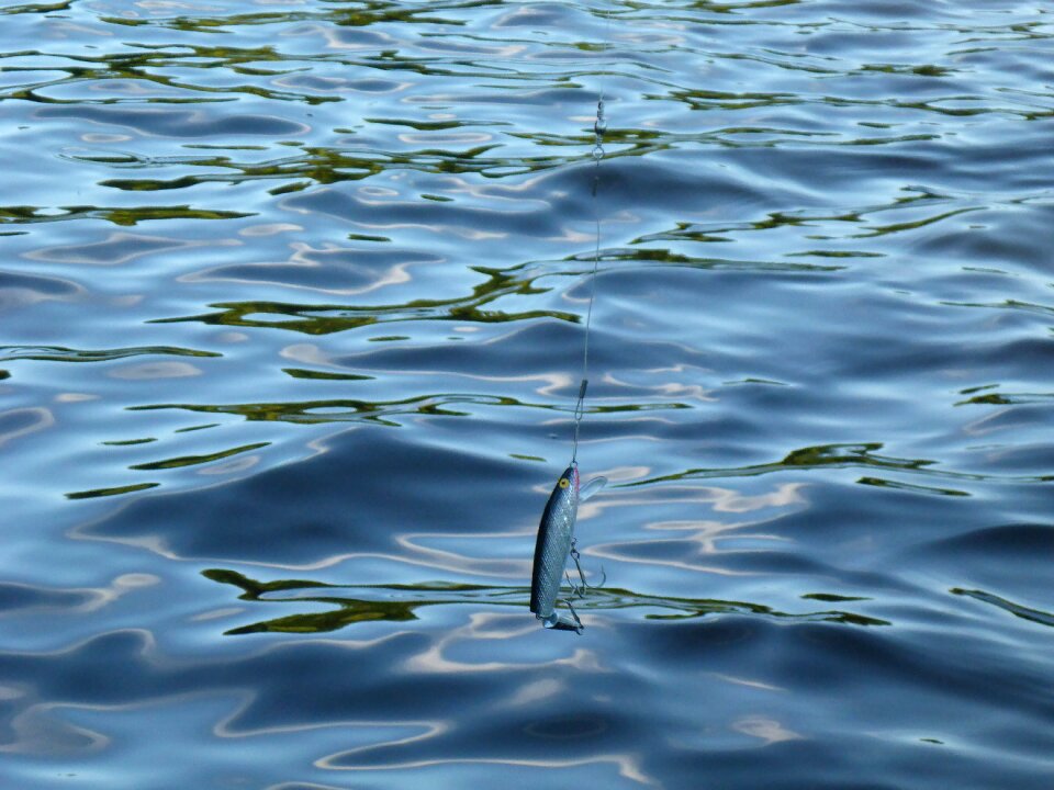 Lake recreation bait