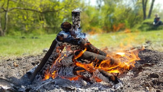 Summer firewood fever