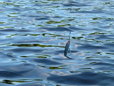 Lake recreation bait