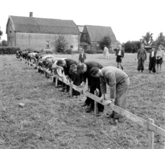 Eerste spade woningbouw Culemborg, Bestanddeelnr 904-7422