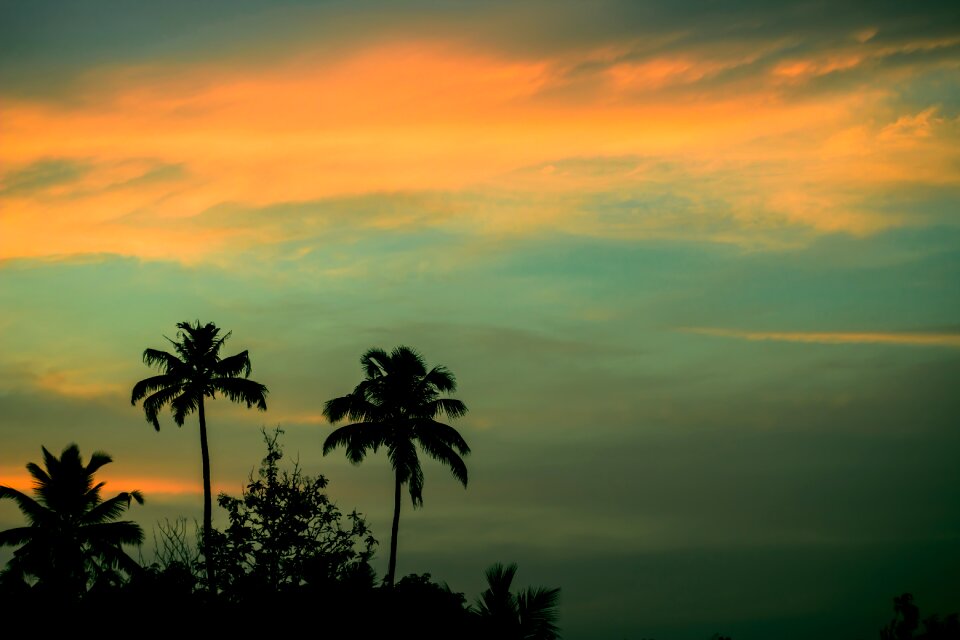 Skies blue orange