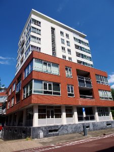 Eerste Sweelinckstraat, Den Haag pic2