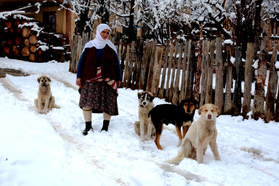 Woman animal dog photo