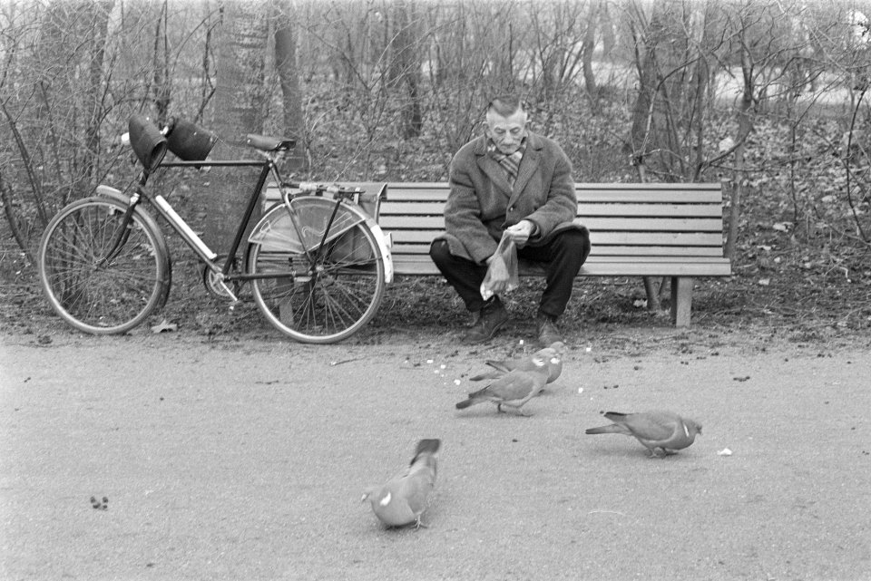 Eerste zonnetje in Vondelpark, Amsterdam oude mensen op bank duiven voeren, Bestanddeelnr 924-2756