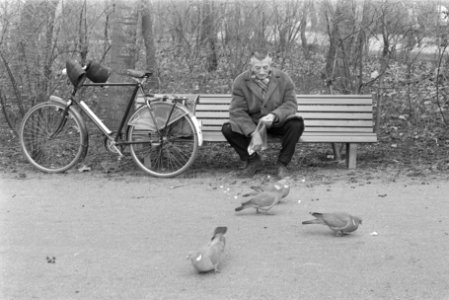 Eerste zonnetje in Vondelpark, Amsterdam oude mensen op bank duiven voeren, Bestanddeelnr 924-2756