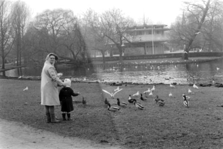 Eerste zonnetje in Vondelpark, Amsterdam eendjes voeren, Bestanddeelnr 924-2752