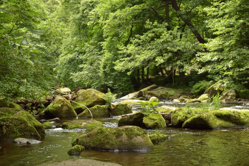 Stones idyllic mood