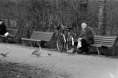 Eerste zonnetje in Vondelpark, Amsterdam oude mensen op bank duiven voeren, Bestanddeelnr 924-2755