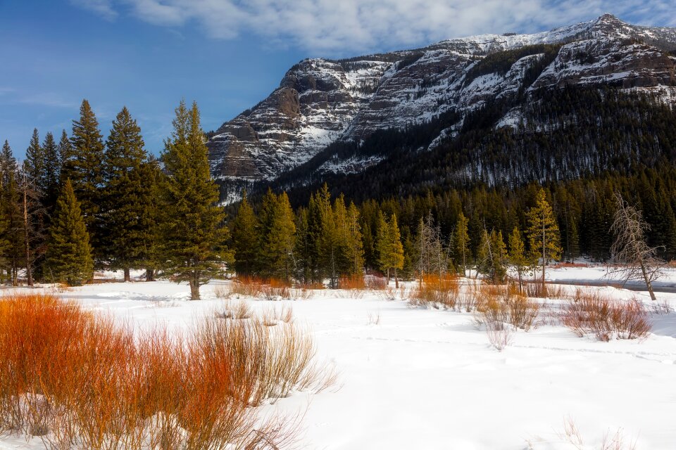 Tourism snow winter