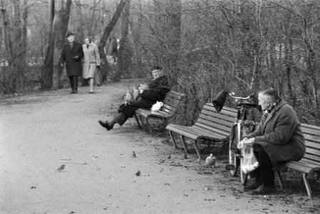 Eerste zonnetje in Vondelpark, Amsterdam oude mensen op bank duiven voeren, Bestanddeelnr 924-2754