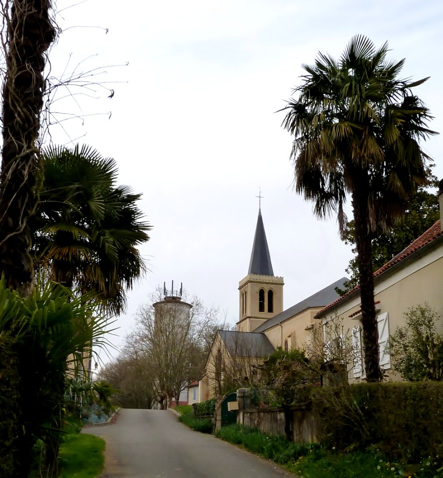 Eglise de Castetpugon vue 6