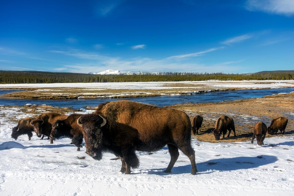 Tourism snow winter photo