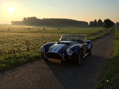 Cobra dax vlietland