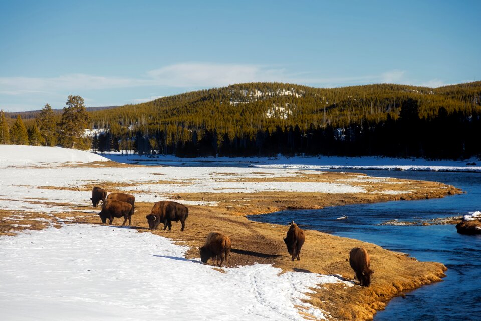 Tourism snow winter