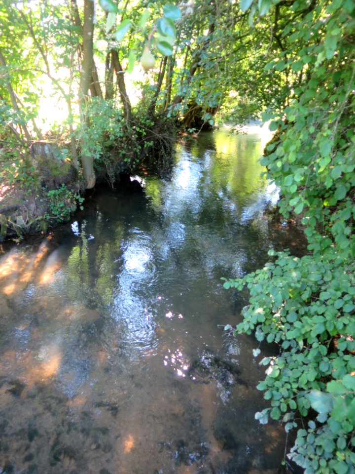 Egloffstein Trubachtal 03