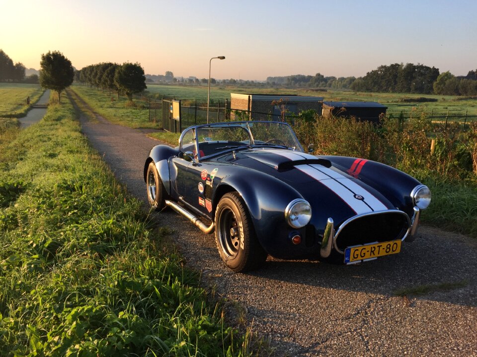 Cobra dax vlietland