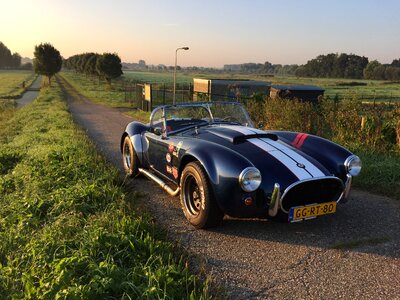 Cobra dax vlietland