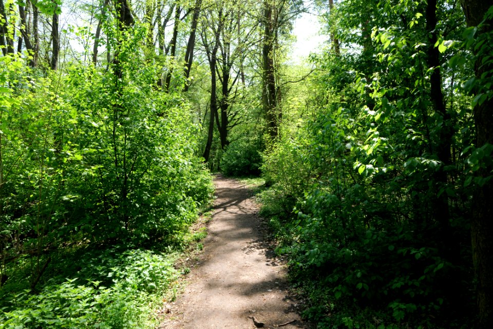 Ehemaliger Blankenfelder See 2021-05-11 03