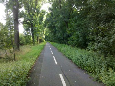 Ehemalige S 1 (Staatsstraße 1) im Tannenwald nördlich von Leipzig-Lindenthal -Blickrichtung-Süd- im September 2017