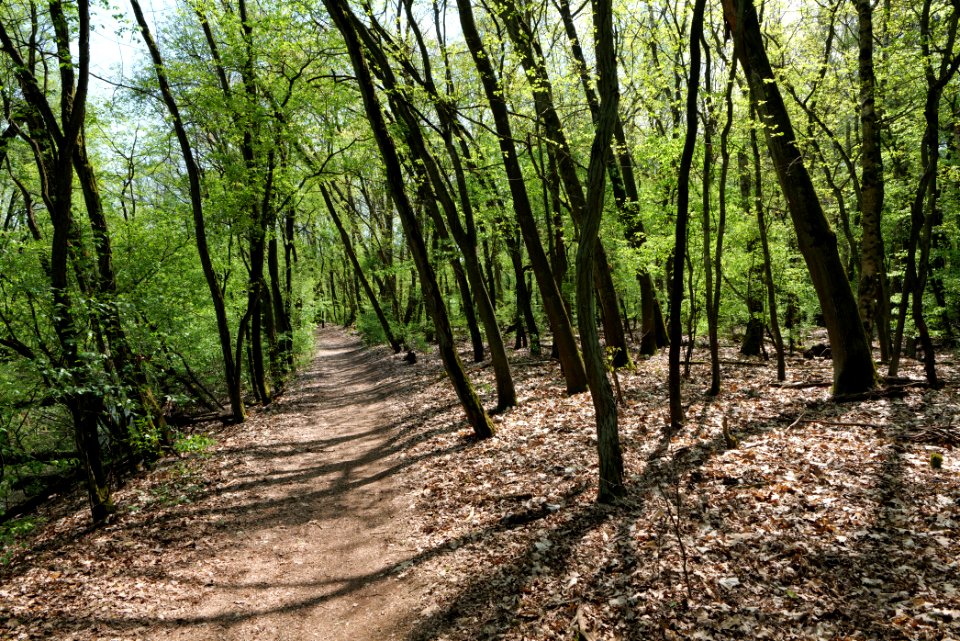 Ehemaliger Blankenfelder See 2021-05-11 59