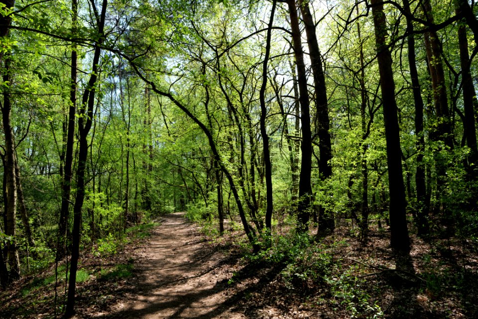 Ehemaliger Blankenfelder See 2021-05-11 54