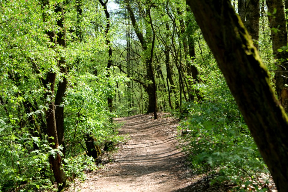 Ehemaliger Blankenfelder See 2021-05-11 67