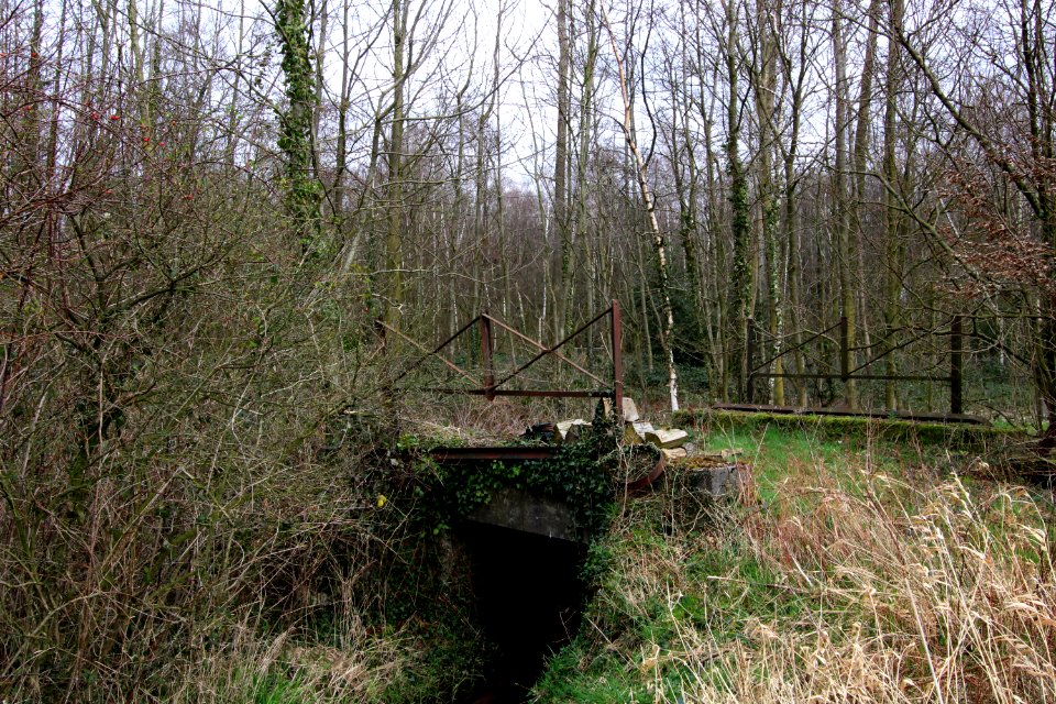 Ehemalige Eisenbahnbrücke Gescher