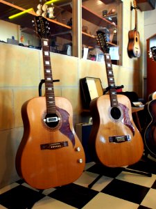 Egmond gitars