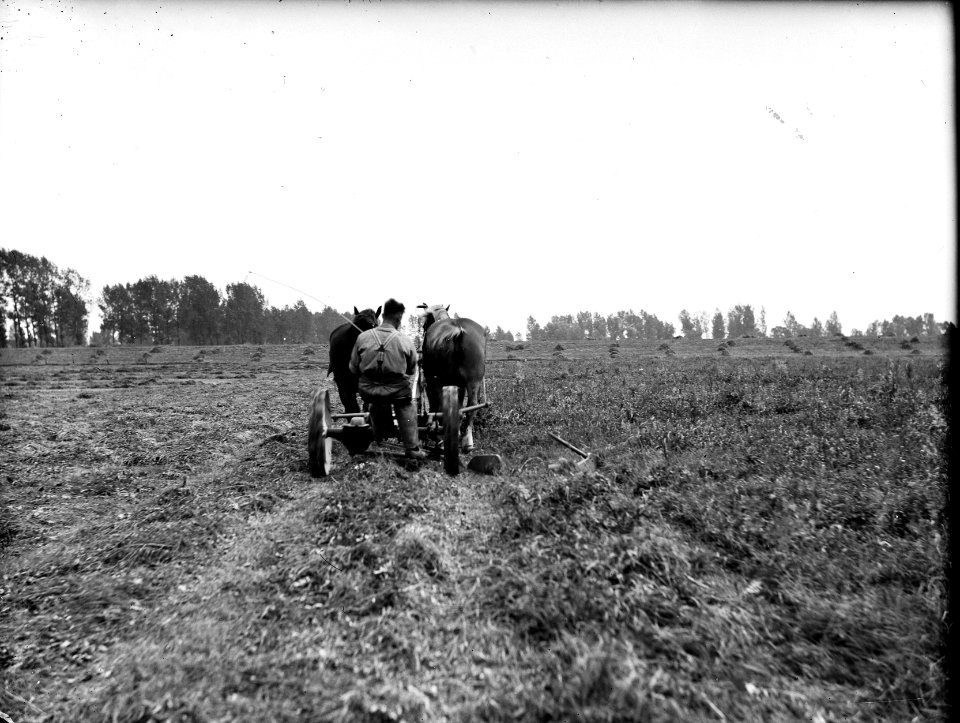 Egaliseren, uiterwaarden, Bestanddeelnr 192-0182