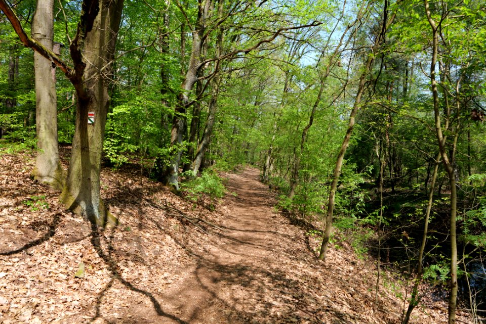 Ehemaliger Blankenfelder See 2021-05-11 71