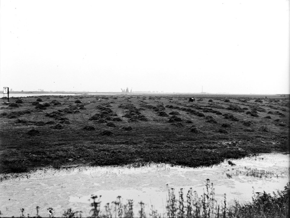 Egaliseren, uiterwaarden, Bestanddeelnr 192-0179