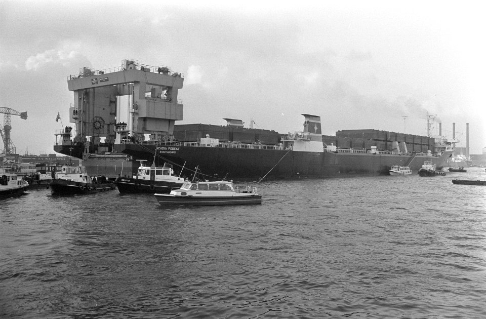 Eerste Kangoeroeschip Acadia Forest wordt gelost in Rotterdam, Bestanddeelnr 923-0445