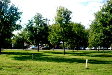 Ehemaliger Straßenbahnkreisel Praunheimer Landstraße A7