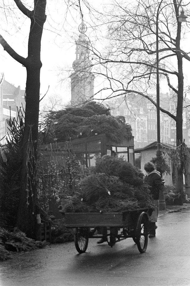 Eerste kerstbomen op de bloemenmarkt te Amsterdam, Bestanddeelnr 910-8678