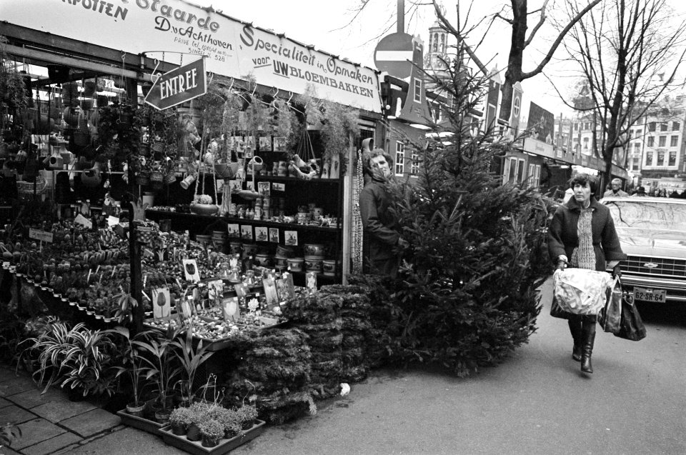 Eerste kerstbomen voor verkoop op Singel Amsterdam, Bestanddeelnr 929-4642