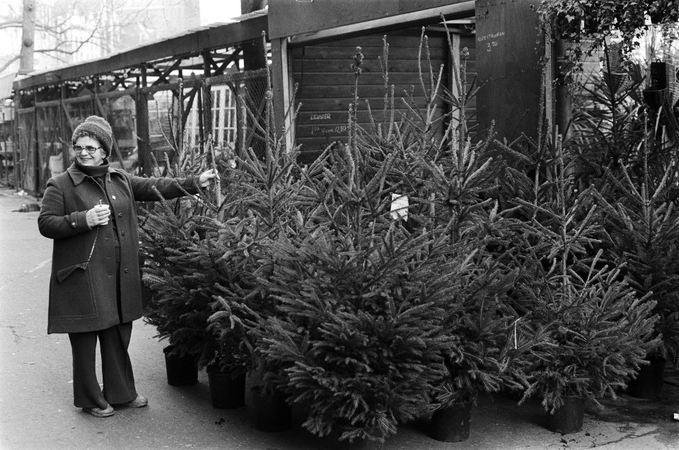 Eerste kerstbomen in Amsterdam, Bestanddeelnr 930-0288
