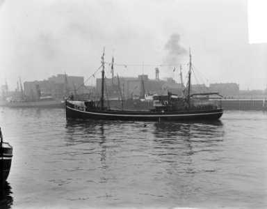 Eerste nieuwe haring aanvoer IJmuiden Scheveningen 9, Bestanddeelnr 904-5880