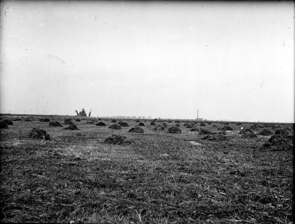 Egaliseren, uiterwaarden, Bestanddeelnr 192-0180