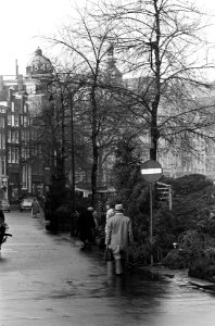 Eerste kerstbomen op de bloemenmarkt te Amsterdam, Bestanddeelnr 910-8677